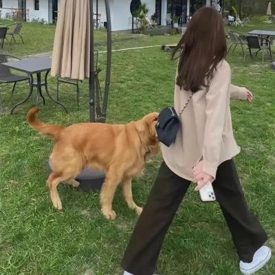 贱男特警